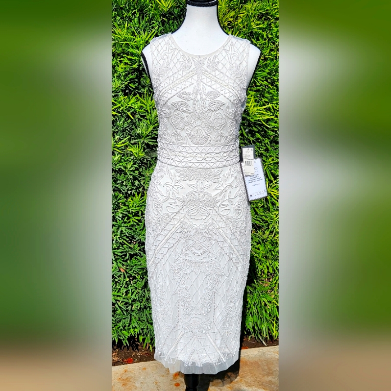 Adrianna Papell Sleeveless Beaded Dress Sz 2 Ivory Empire Waist